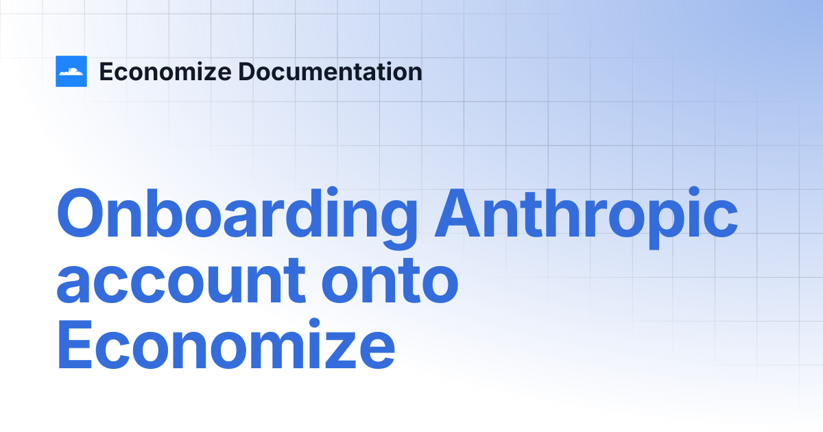 Onboarding Anthropic account onto Economize | Economize Documentation